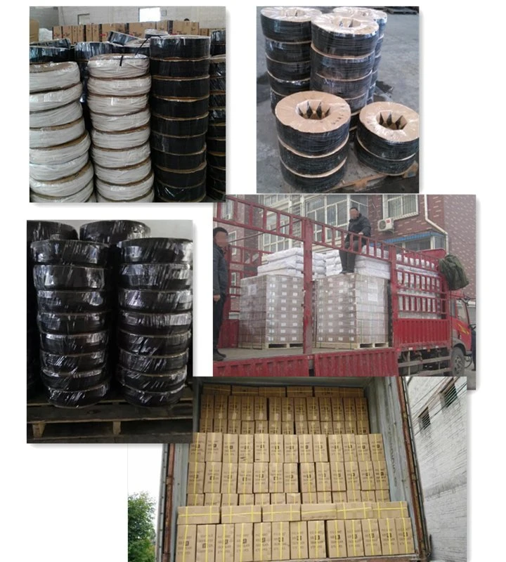 Co-Extruded TPE or TPV and PP Window and Door Rubber Sealing Strip